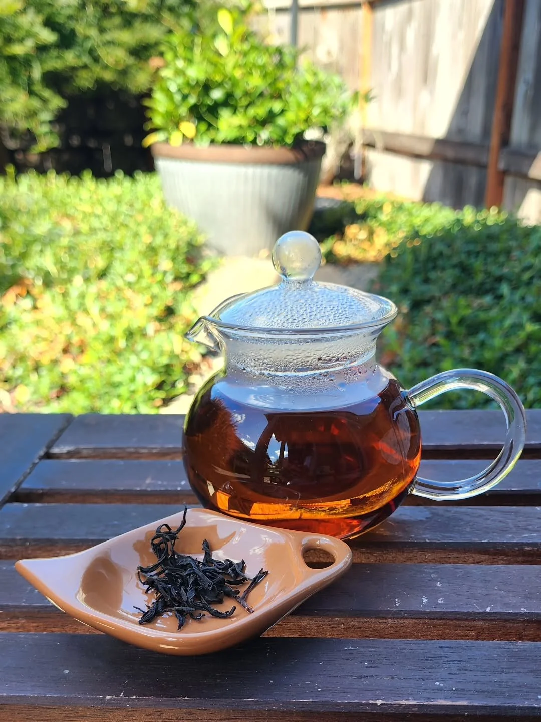 Today's breakfast tea was a treat! It's the tea from @mintoislandtea's processing class a few weeks ago. The color is stunning! The flavors are toasty and earthy, with a hint of sweetness that didn't need any sugar.

#mintoislandtea #tea processing #