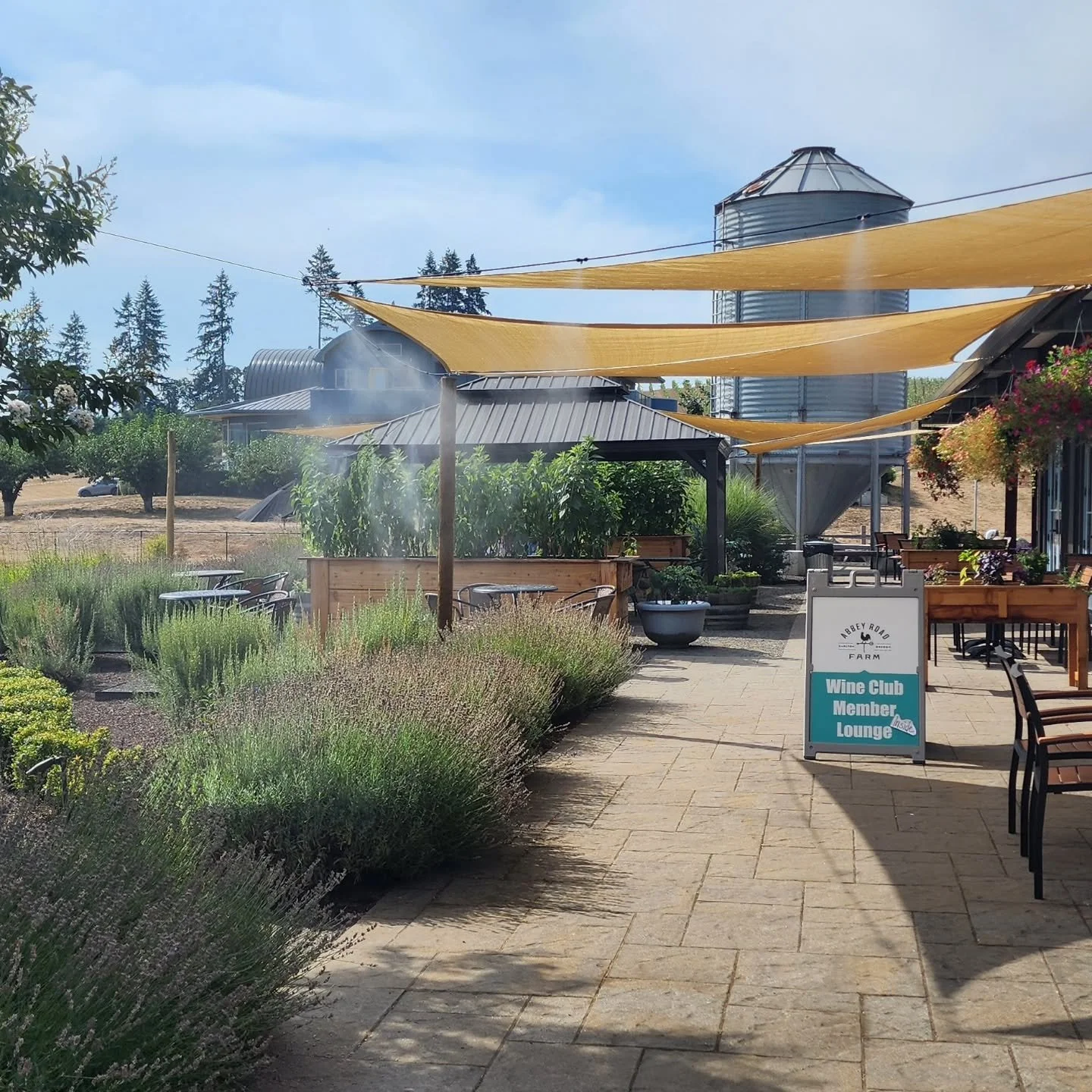 Another great day to be at Silobration NW @abbeyroadfarm! It is so beautiful out here and I love all their various seating areas and ways to keep cool! Lots of amazing vendors too!! Come say hi! We are sampling Peachy Peach 🍑 iced tea today!

#abbey