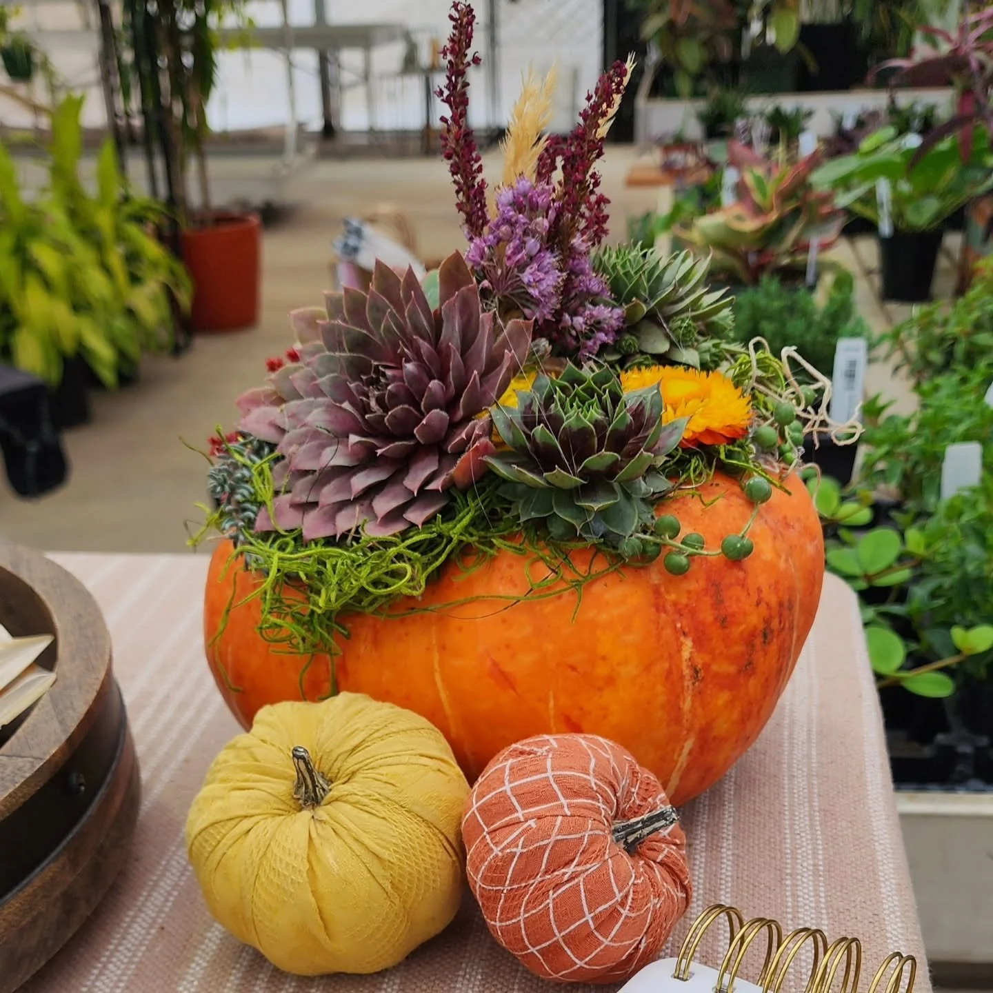 Such a great event yesterday @bloomingjunction! I had such a lovely surprise from the daughter of the event coordinator! She made me this beautiful arrangement!

#bloomingjunction #fallvibes #shoplocal #shopsmall