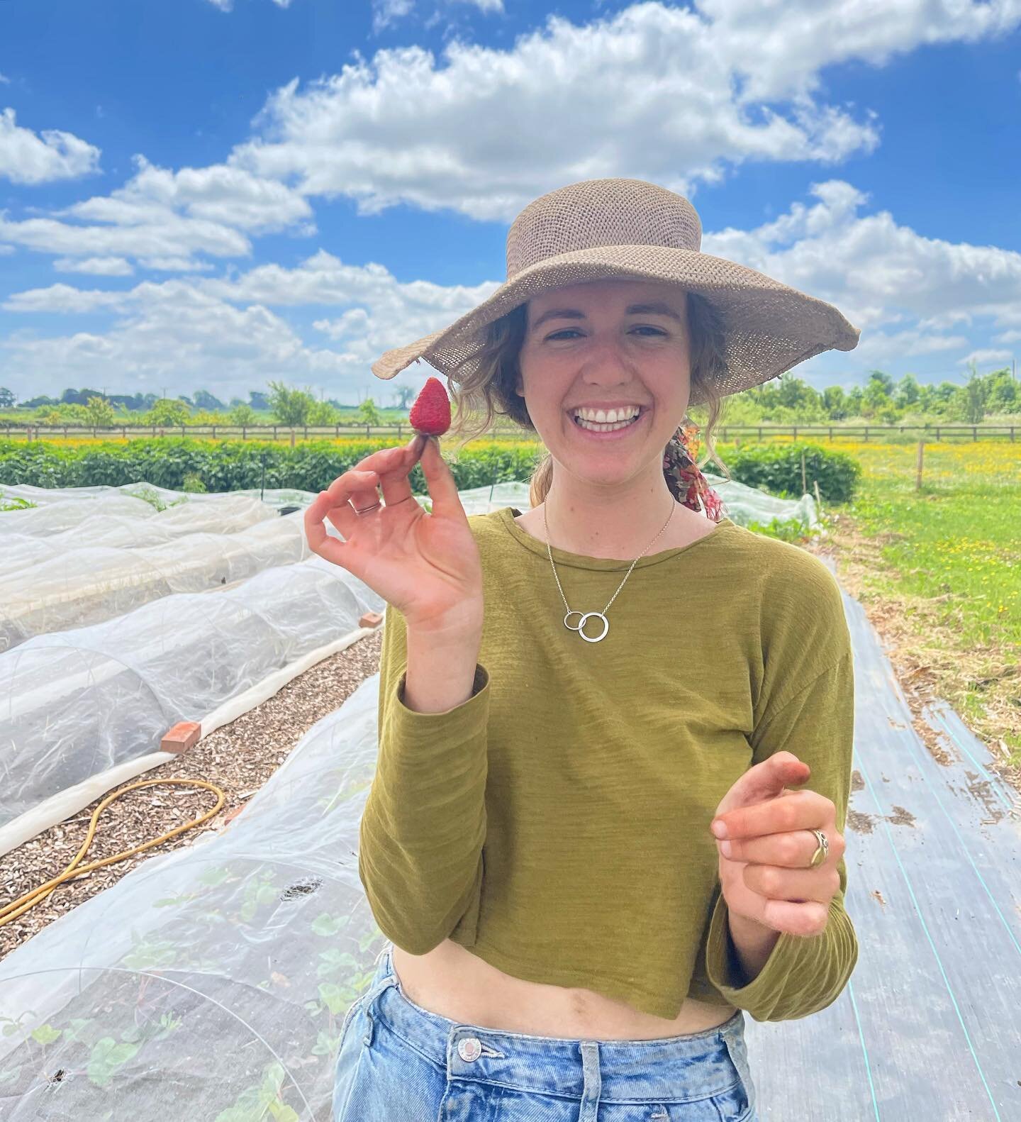 Our Lowri enjoying some of the delicious strawberries coming through at Moonacre 🍓🌞🧡
.
#smallholding #biodynamic #strawberry #frome #somerset #southwest #garden #gardeners #volunteers #love #biodynamicsmallholding