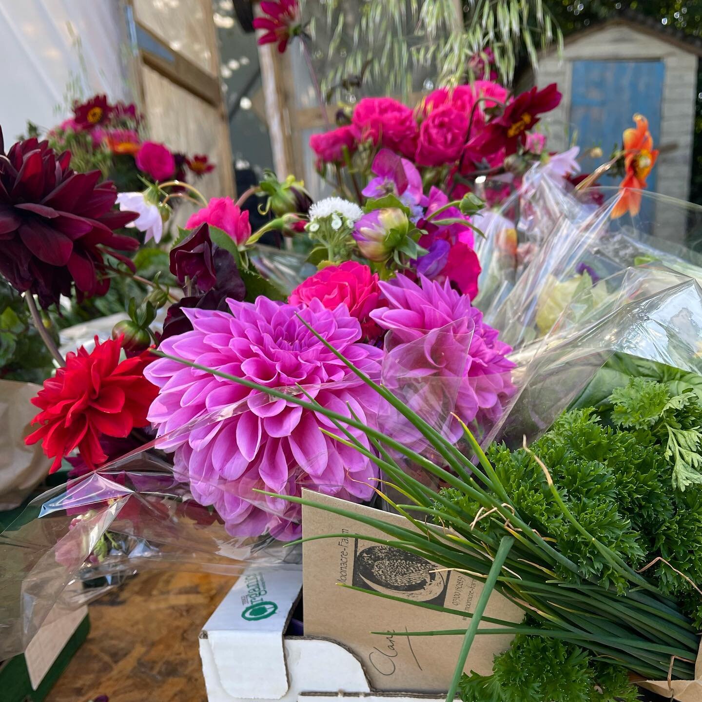 Durslade Farm Shop are now stocking Moonacre Veg Boxes! For those in the Bruton area this is a fantastic opportunity to pick up your box closer to home! The @dursladefarmshop gang popped over to the farm the other day to catch up with Dide and have w