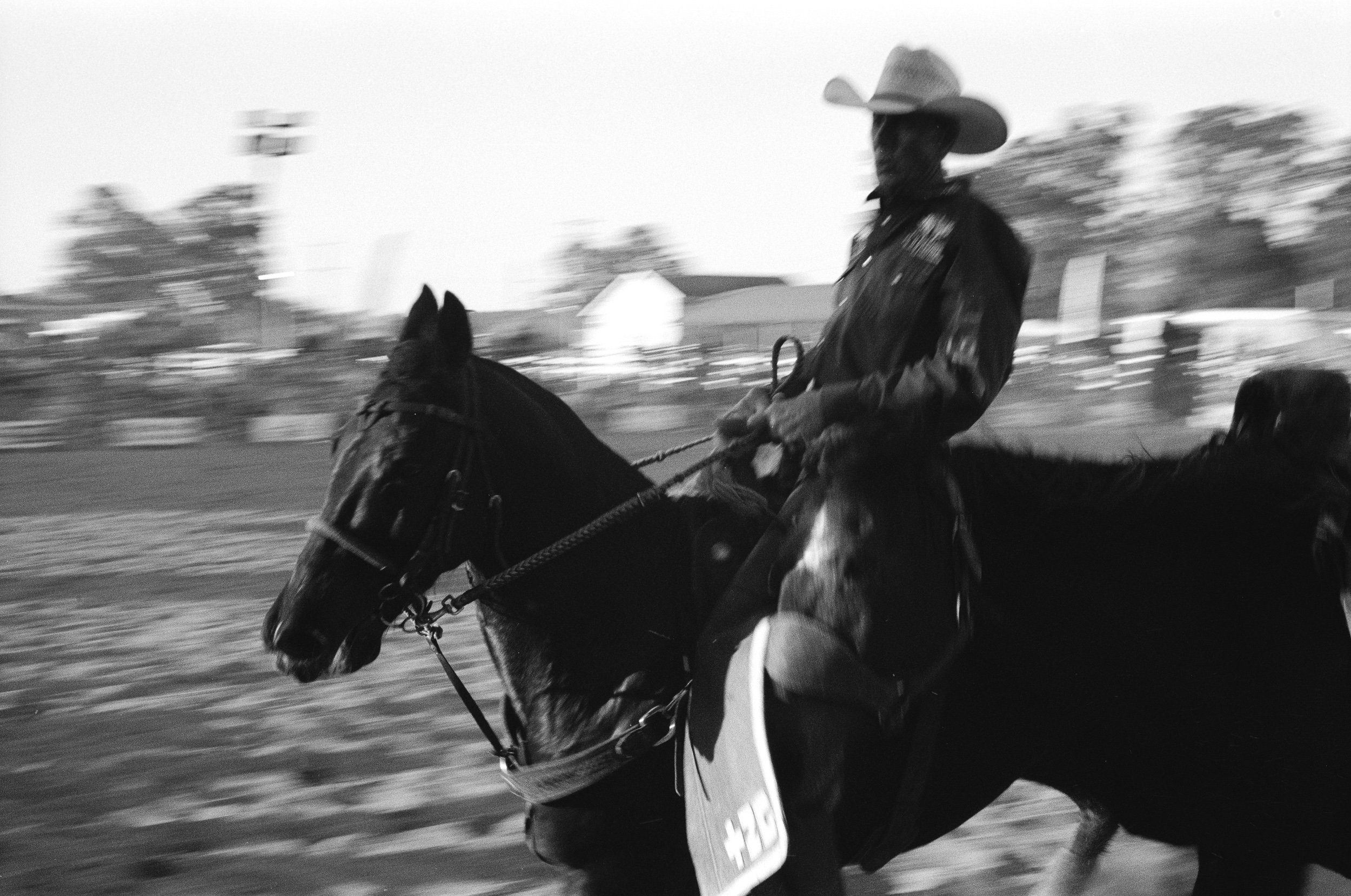 imbil_rodeo_2026_web--3.jpg