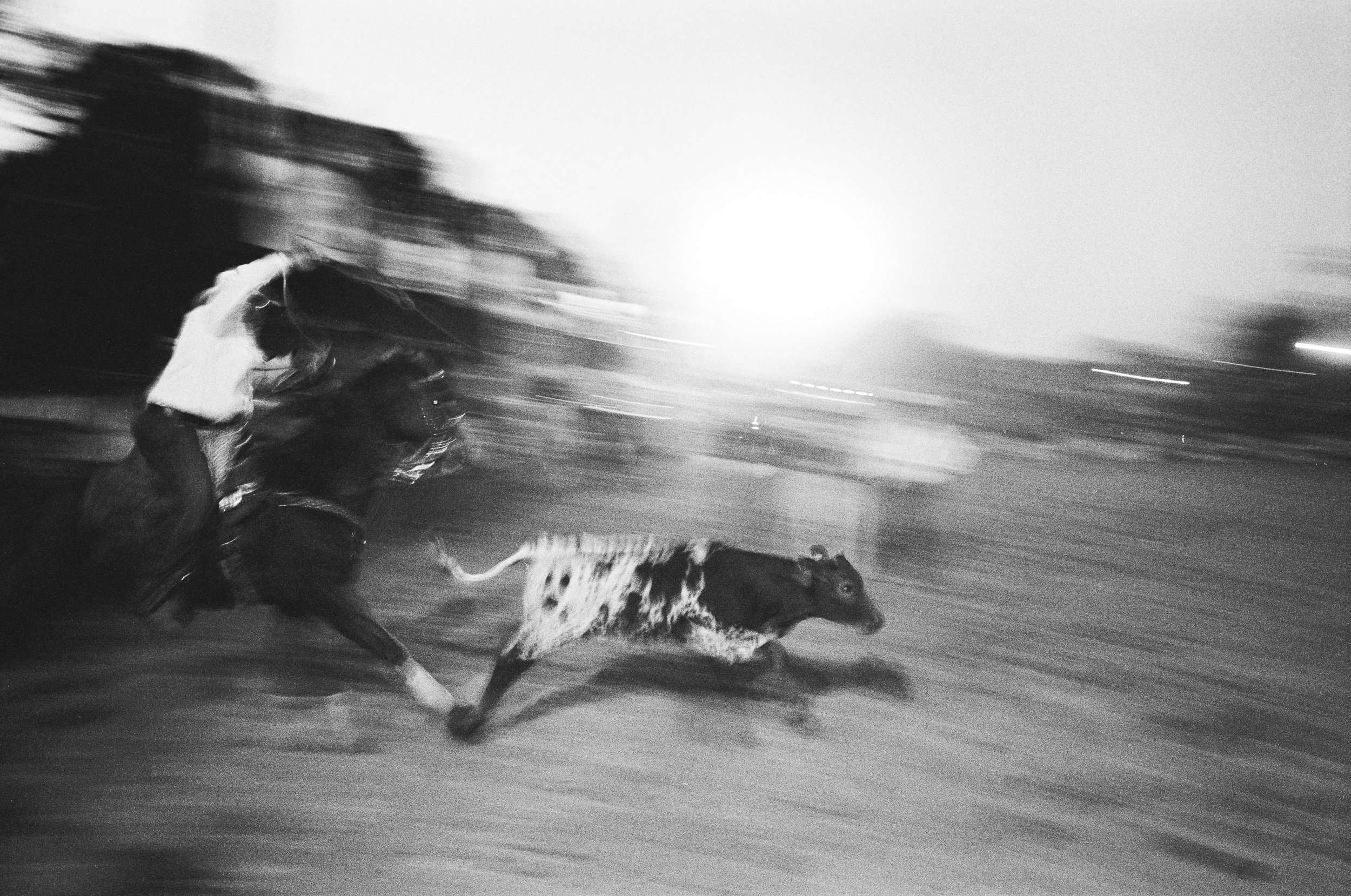 imbil_rodeo_2026_web--10.jpg
