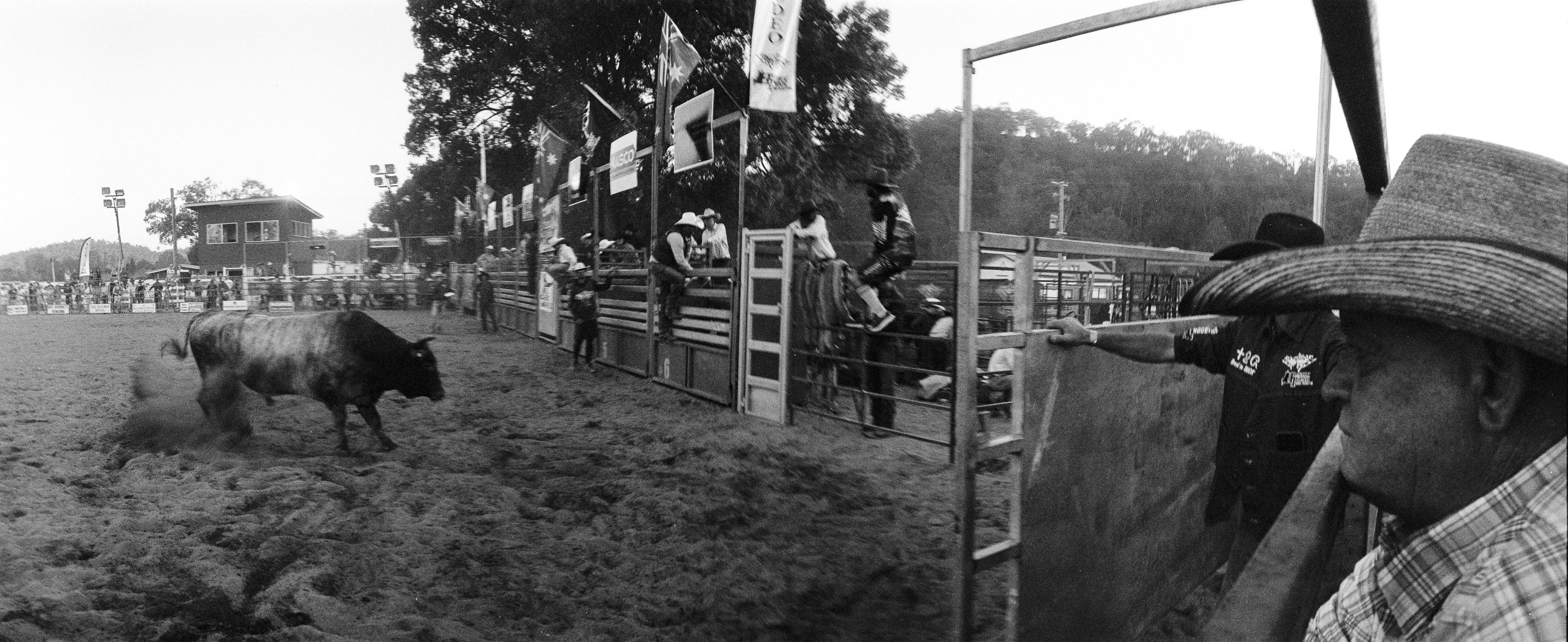imbil_rodeo_2026_web--14.jpg