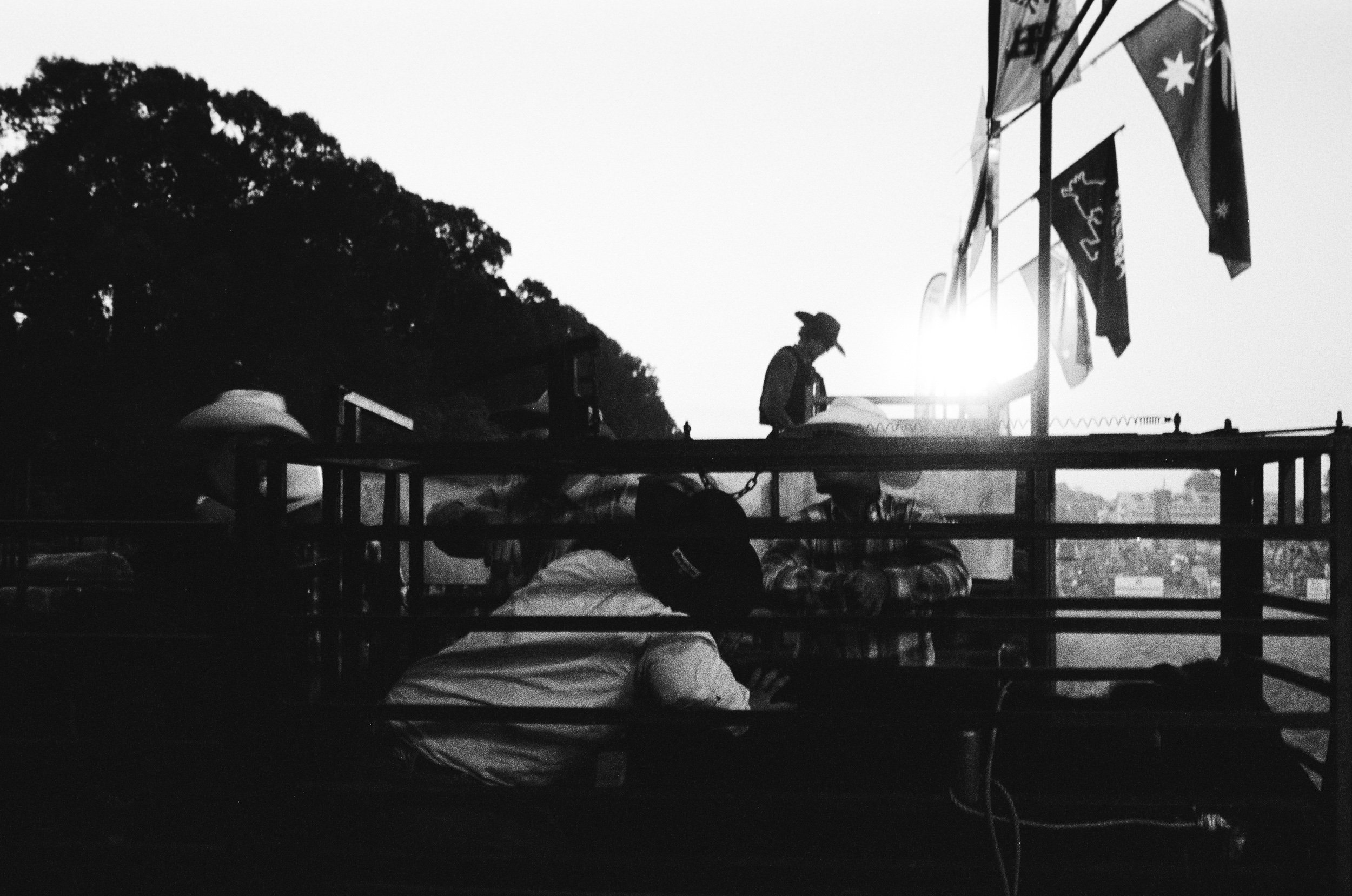 imbil_rodeo_2026_web--9.jpg
