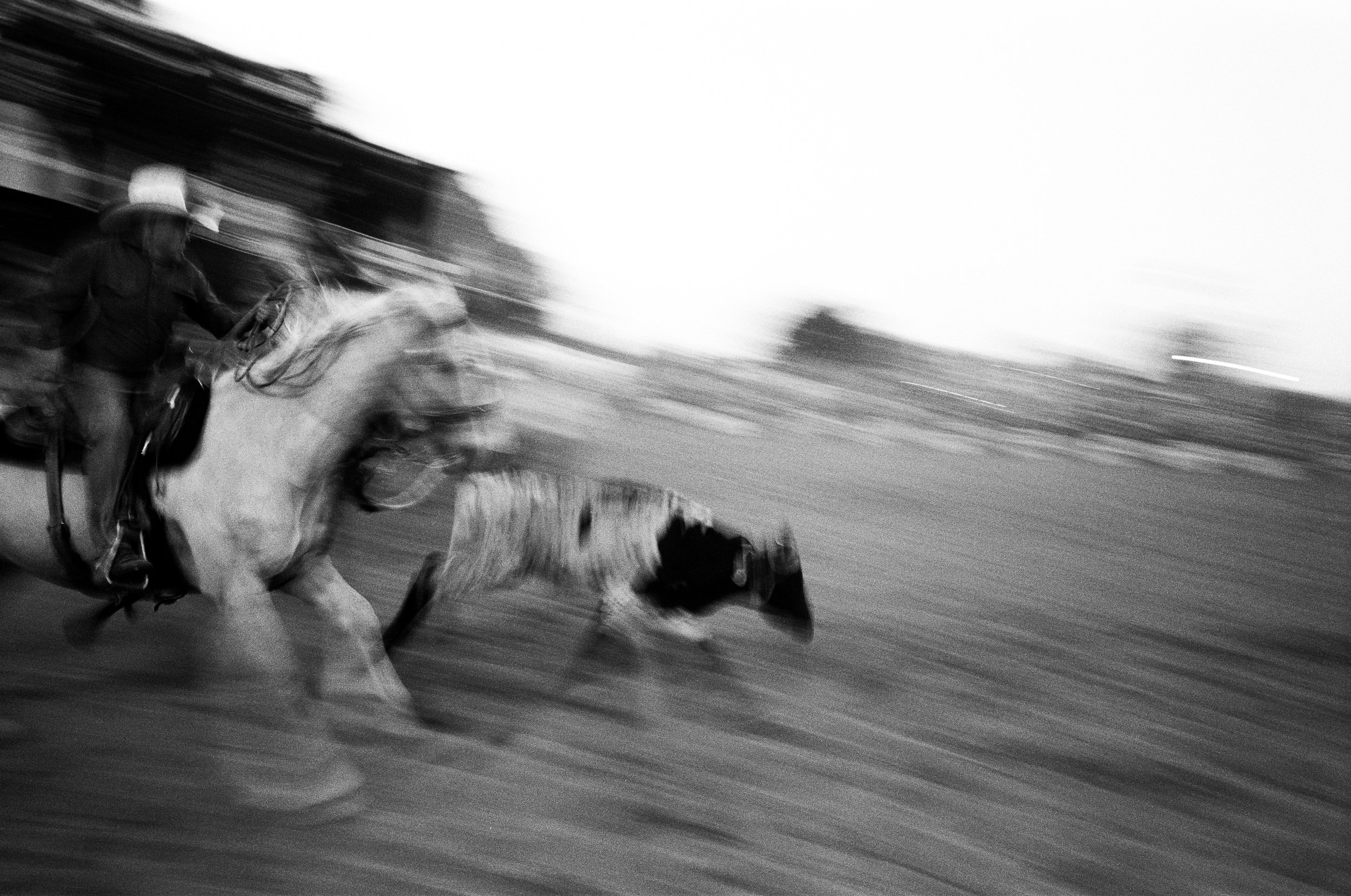 imbil_rodeo_2026_web--7.jpg