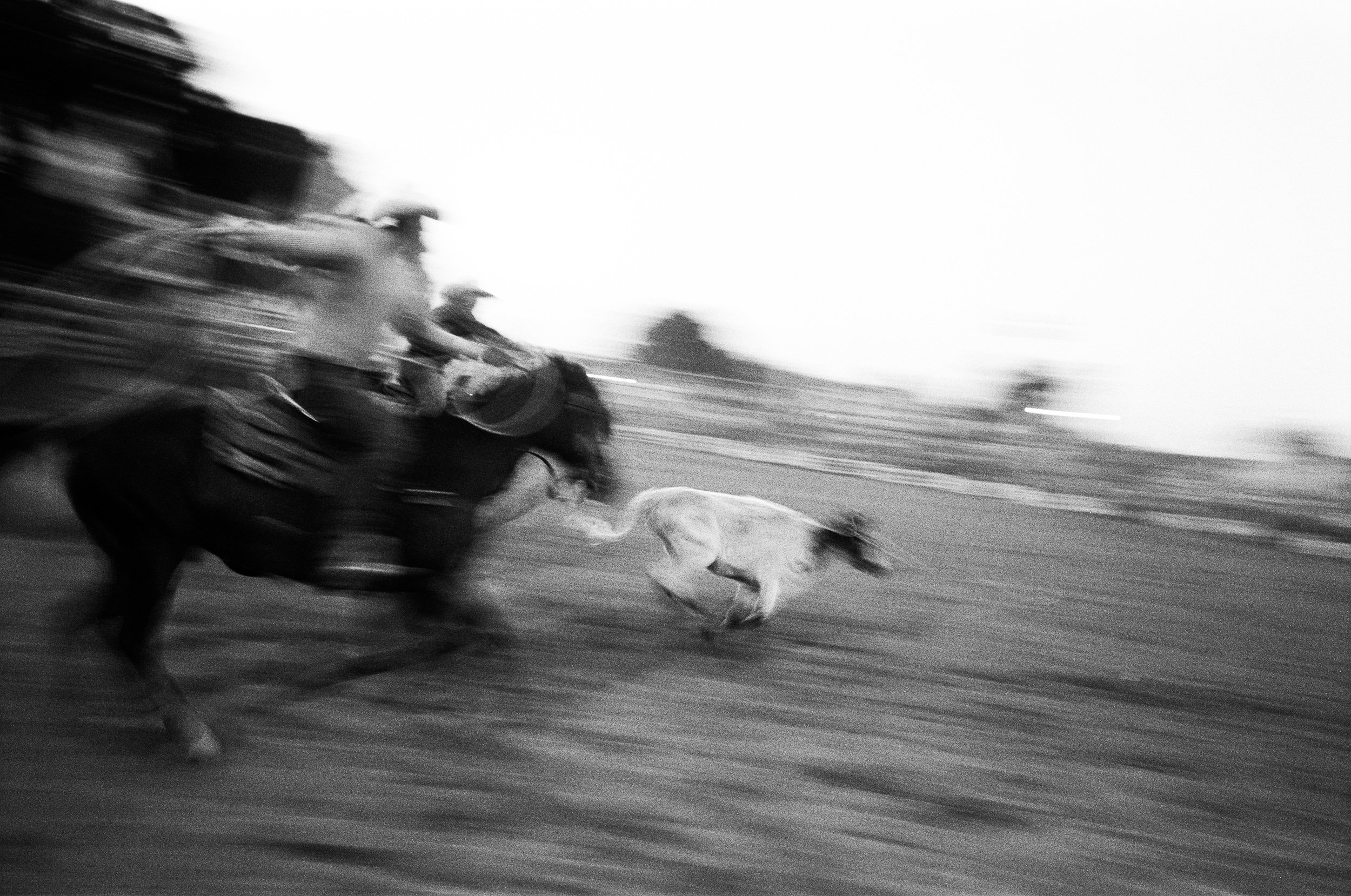 imbil_rodeo_2026_web--8.jpg
