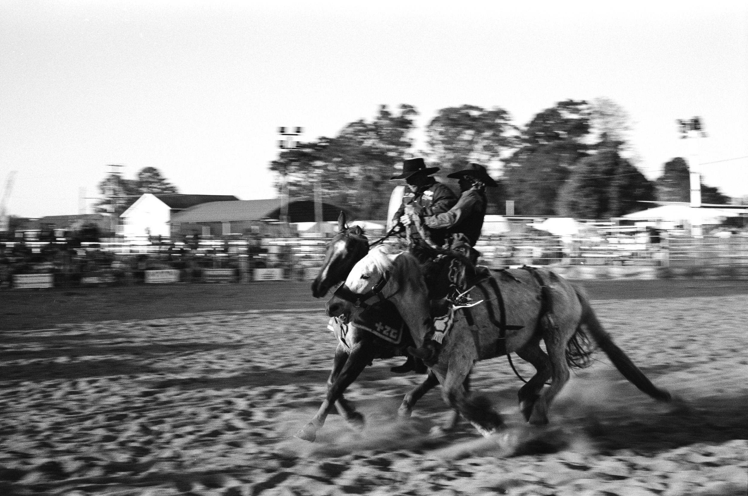 imbil_rodeo_2026_web--2.jpg
