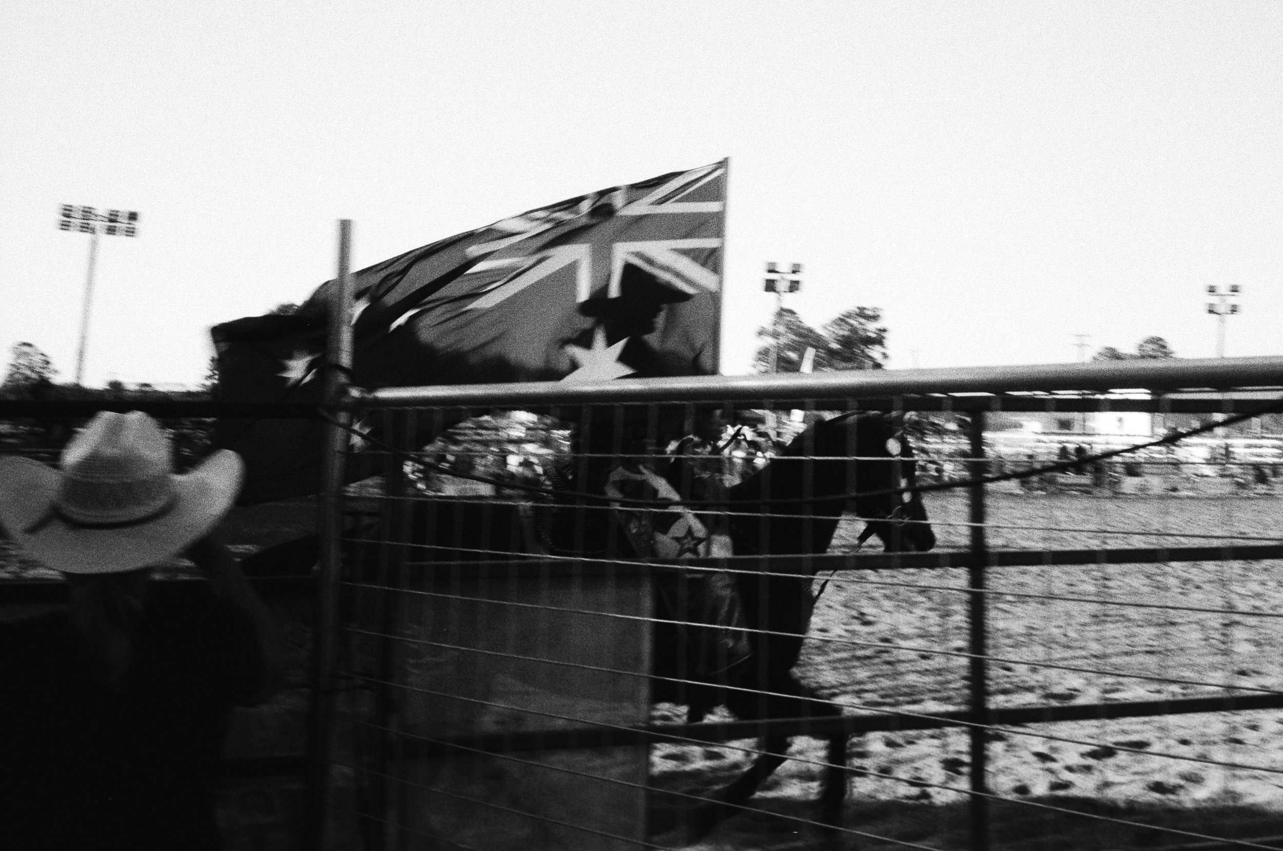imbil_rodeo_2026_web--15.jpg