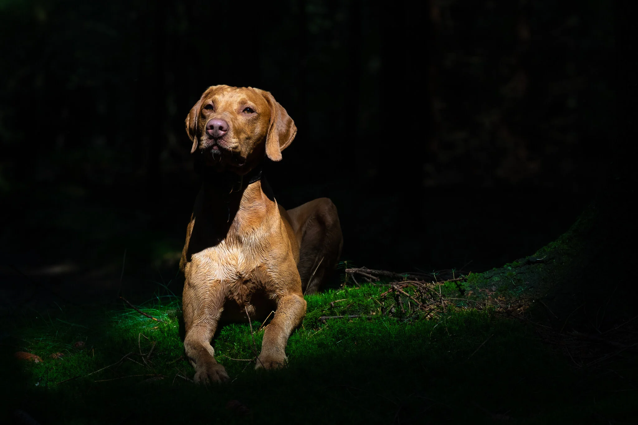 untitled shoot-0931.jpg