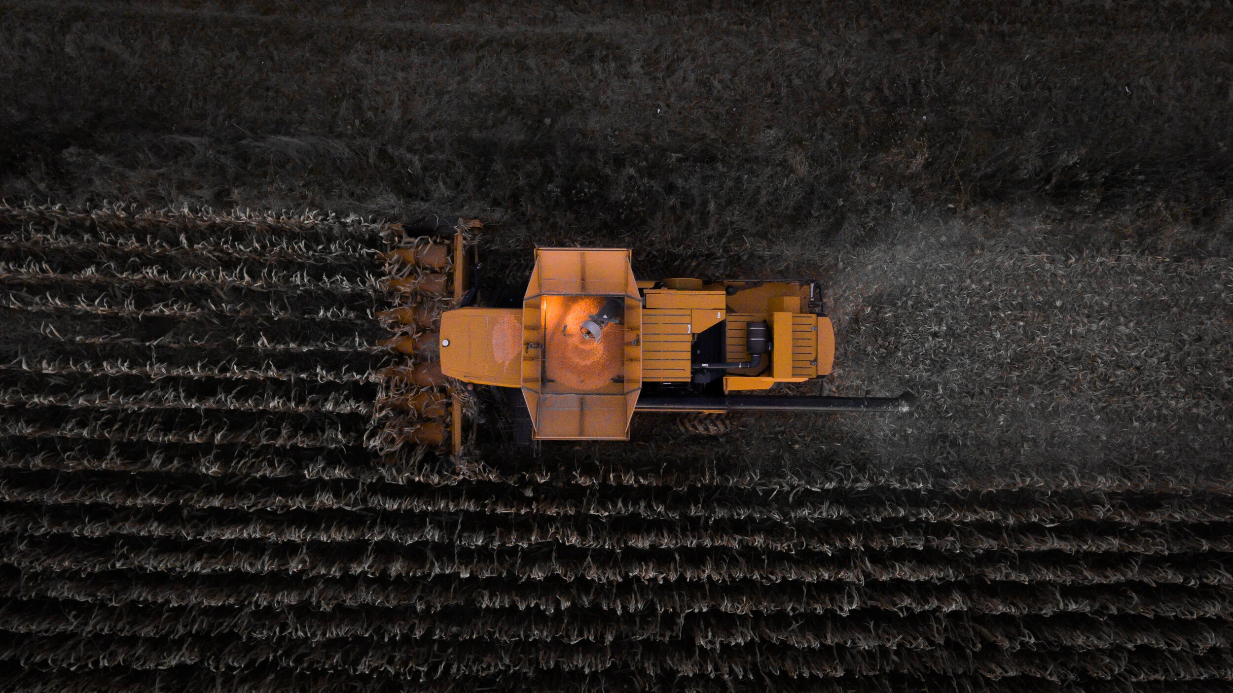 “Sooo loved HarvestNow 2020! Absolutely changed my life and massively accelerated my faith.”