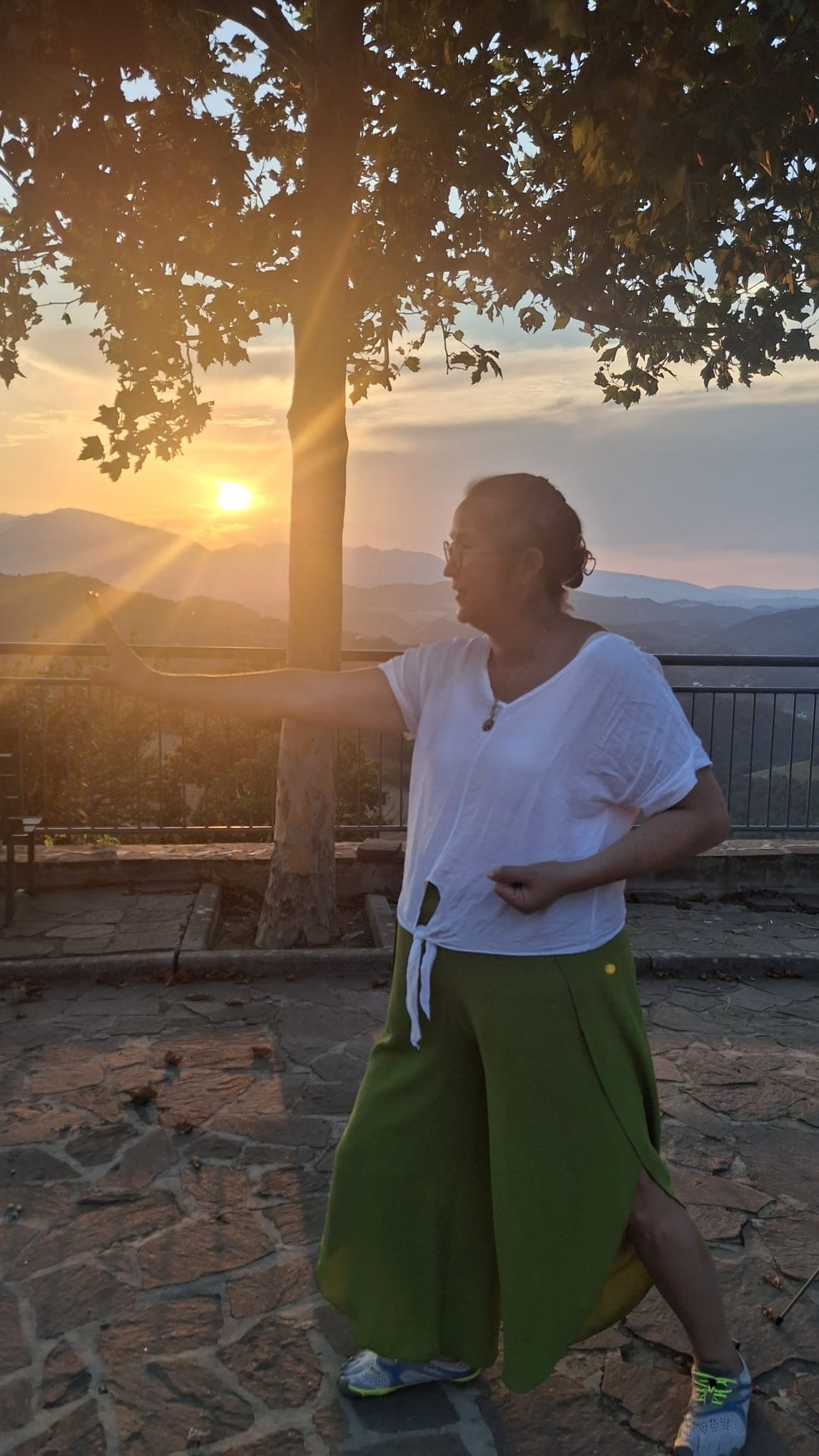 Care: Qigong en de Vijf Elementen by dokter Nicole | Eindhoven