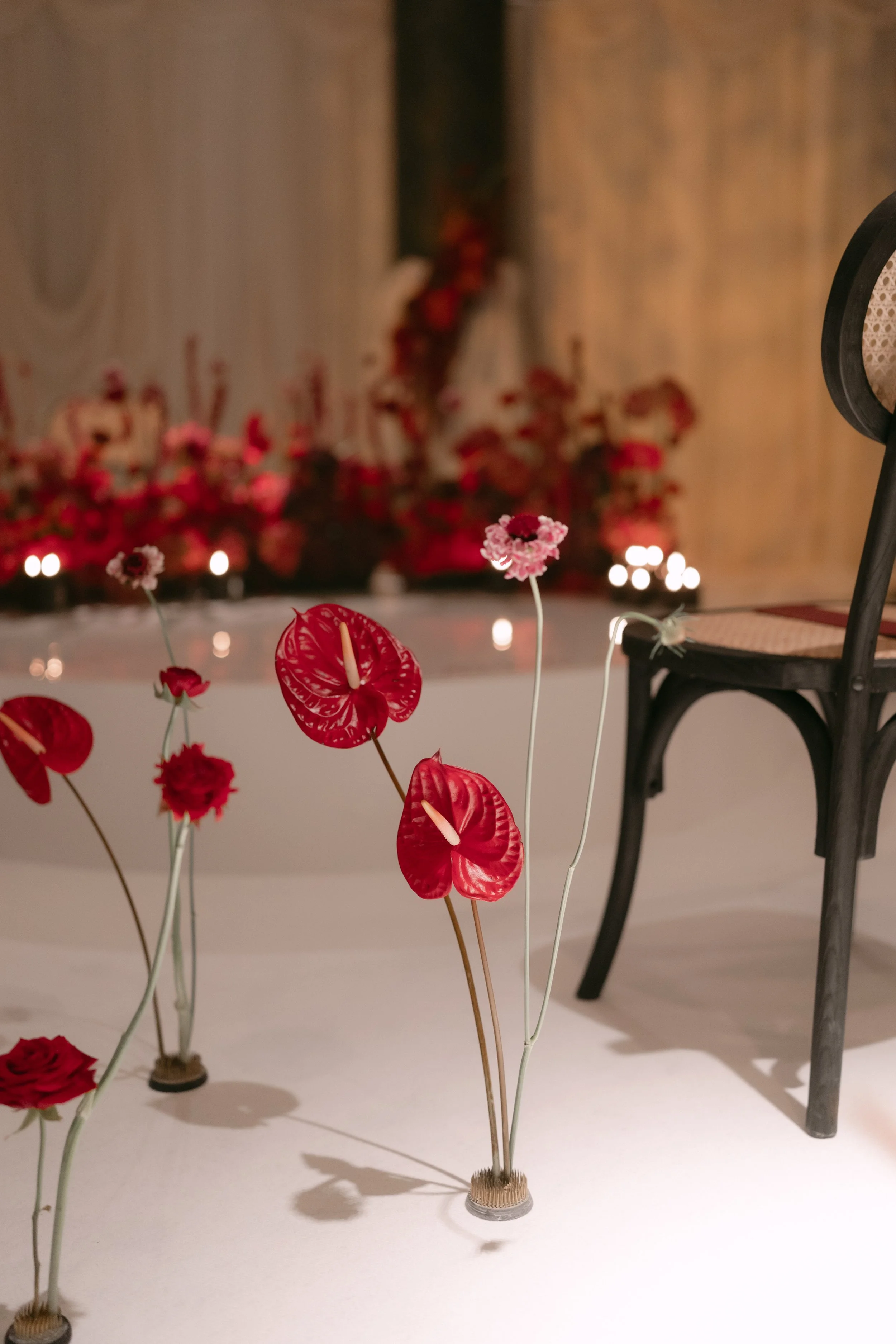 a-vision-in-red-456 copy.jpg