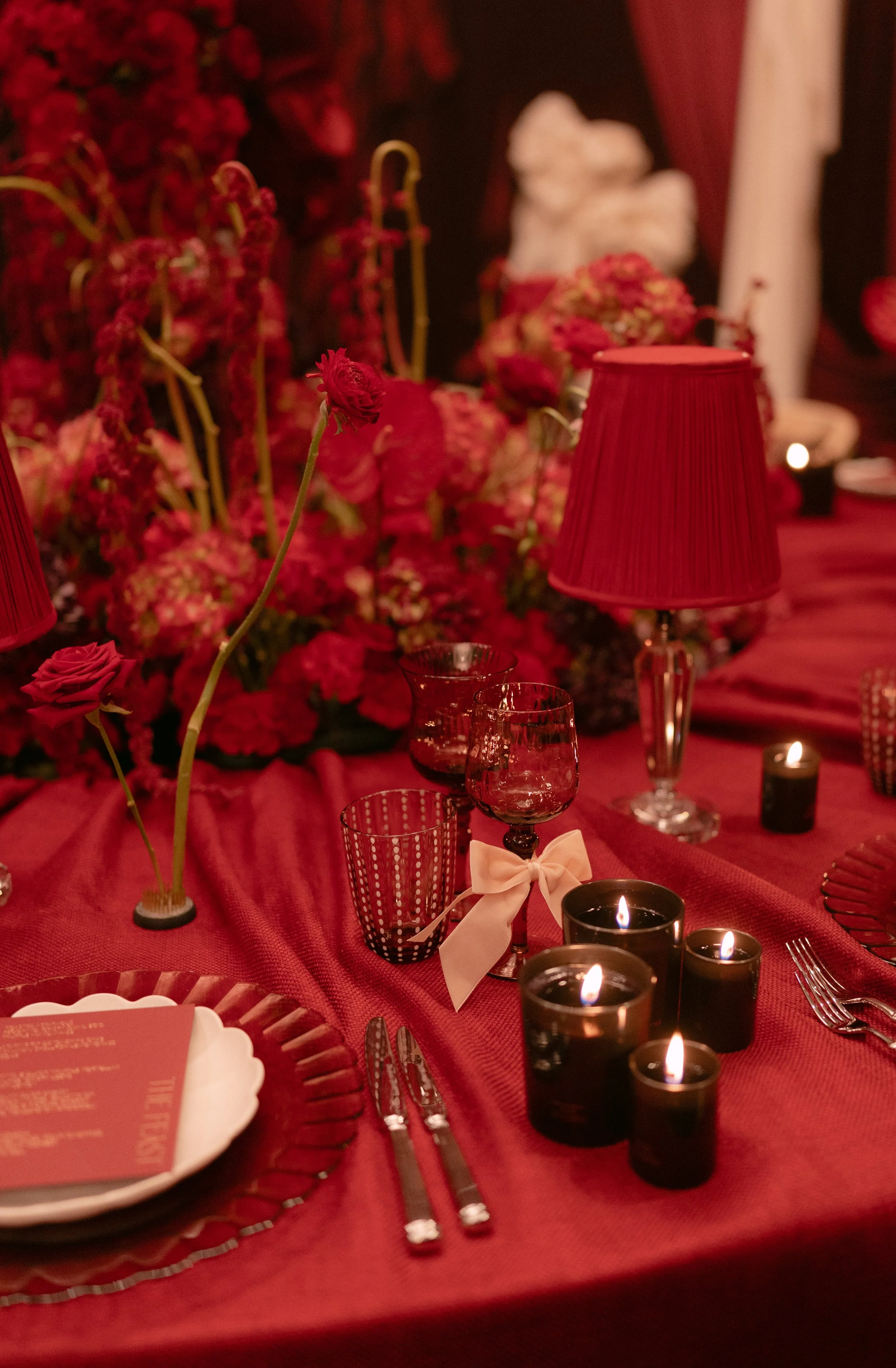 a-vision-in-red-871 copy.jpg