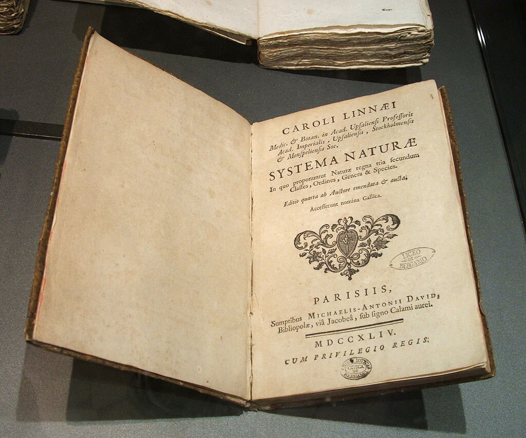 Carl von Linné, Systema Naturae, 4th edition (1744), 26 August 2008, @Luigi Chiesa, - foto ripresa nel museo di scienze naturali di Bergamo
