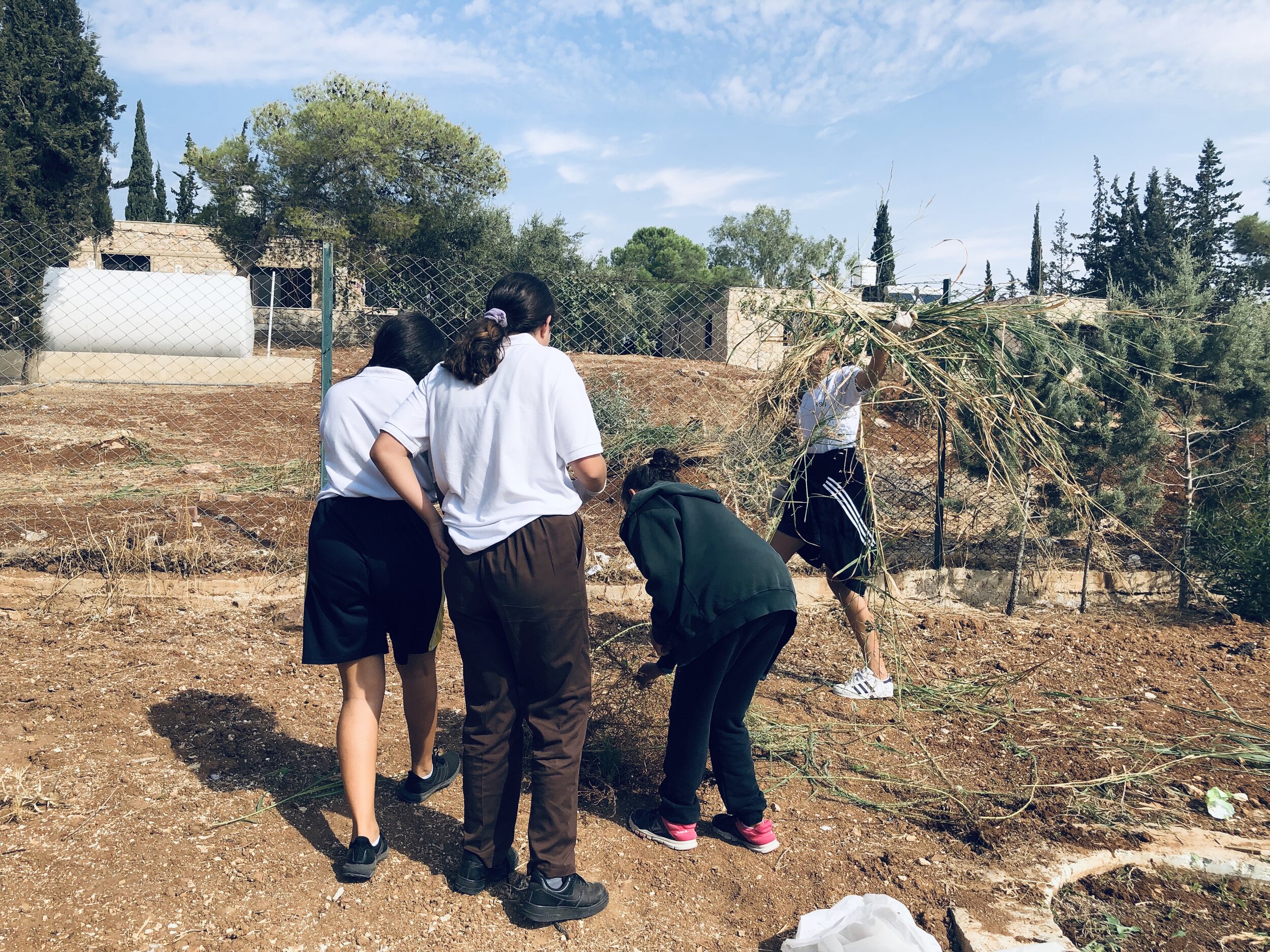 MYP_Environmental Day at SOS9.JPG