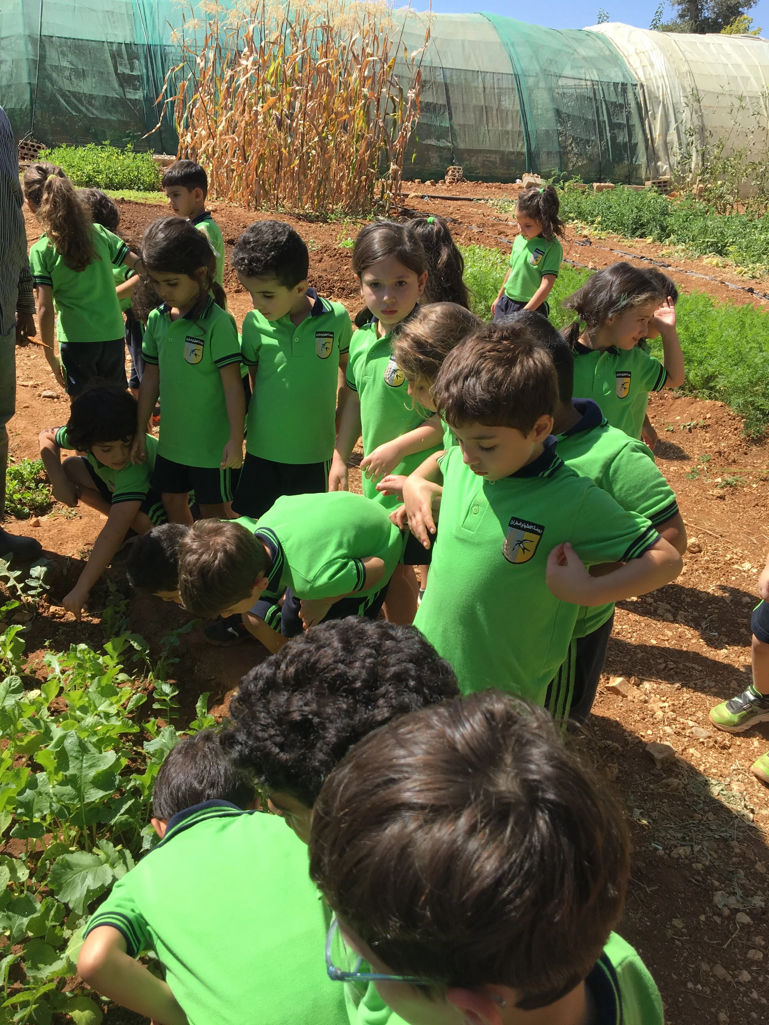 KG2_Outdoor Trips & Activities4.jpeg