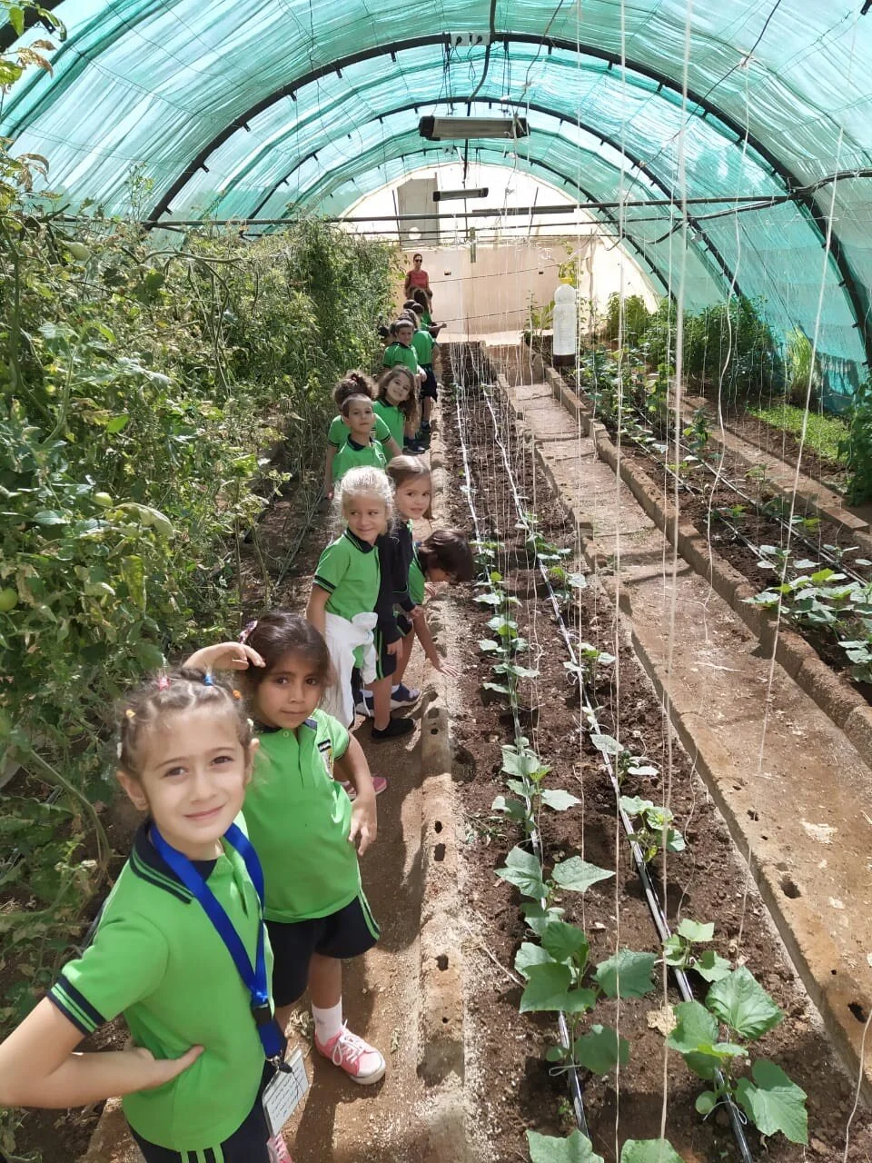 KG2_Outdoor Trips & Activities13.jpeg