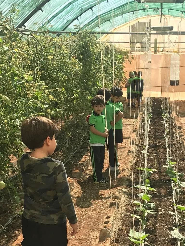 KG2_Outdoor Trips & Activities15.JPG