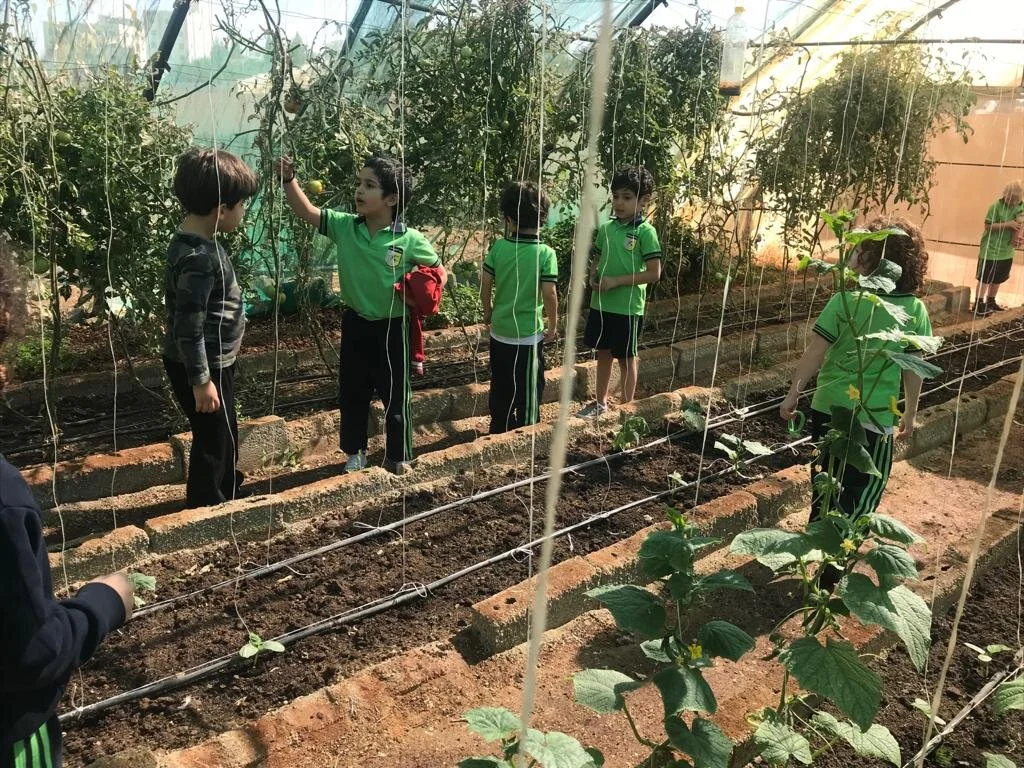 KG2_Outdoor Trips & Activities17.JPG