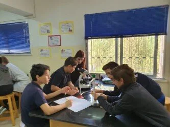 Labs_Grade7_Year2_4.jpg