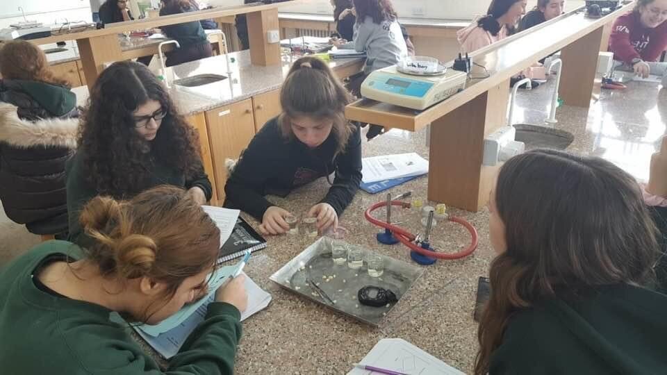 Labs_Grade9_Year4_3.jpg
