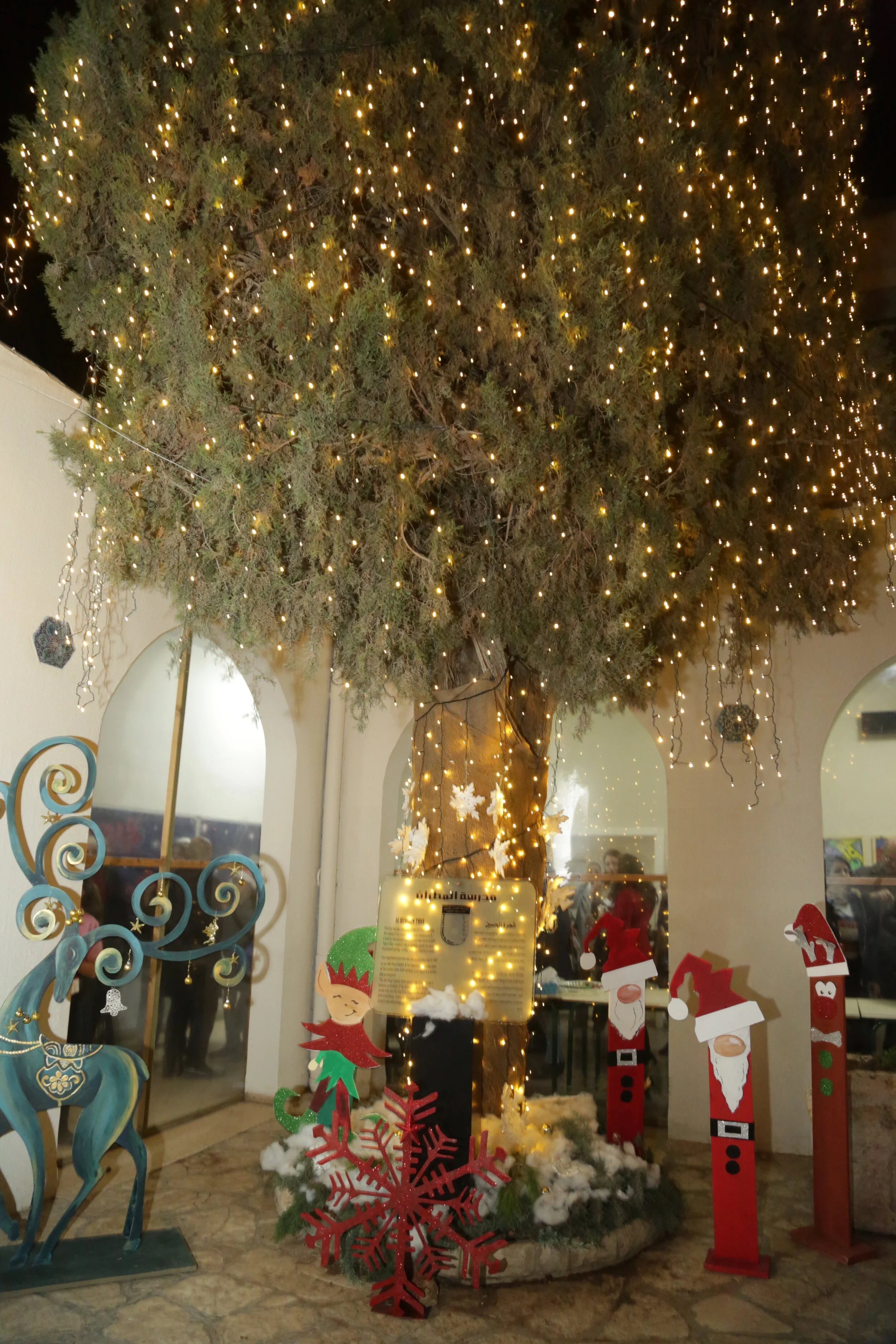 Christmas Tree Lighting4.JPG