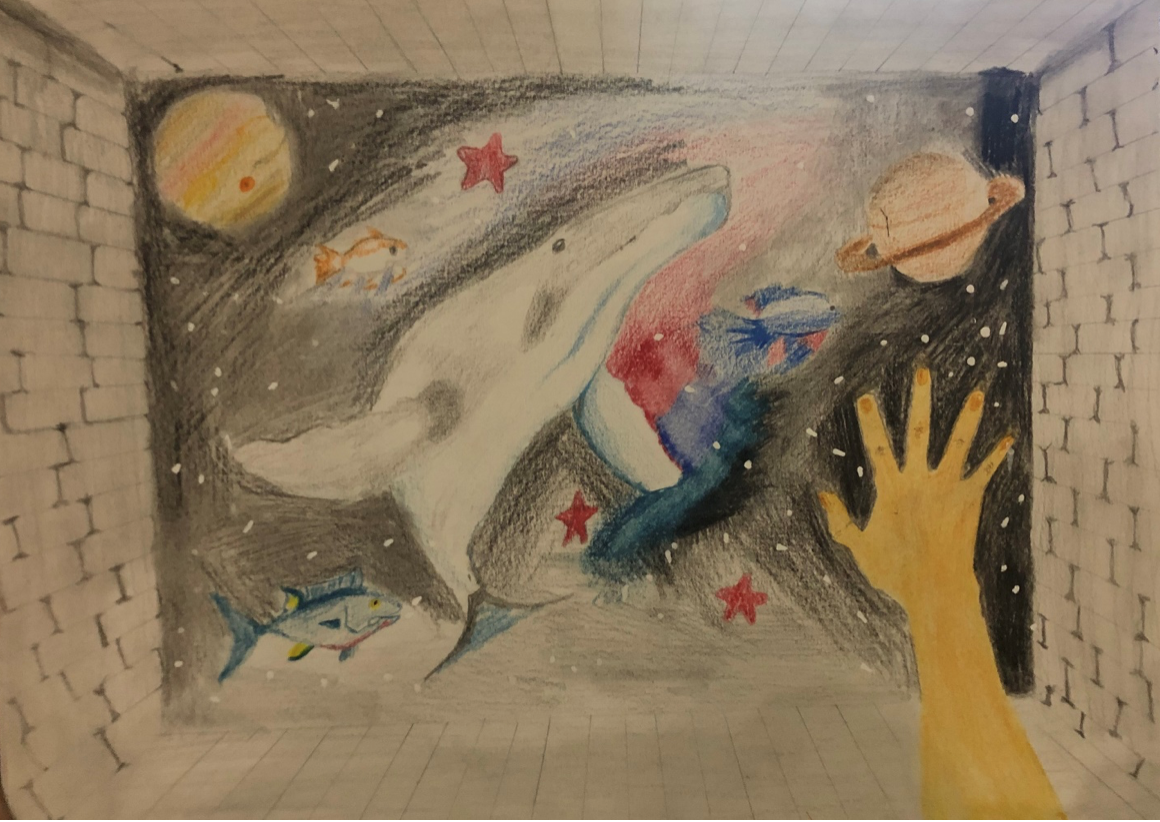 The IB Visual Arts Exhibition MYP  2.png