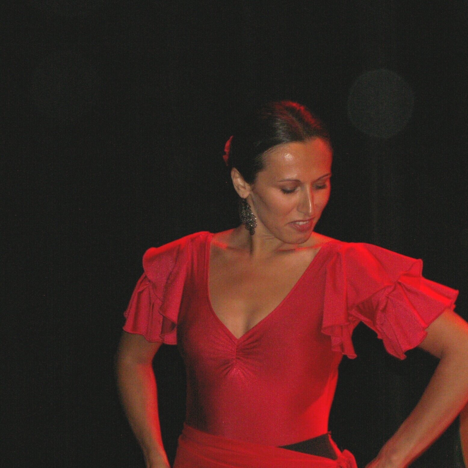 flamenco1.jpg