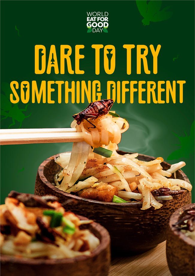 Knorr-Dare-to-Try2.jpg