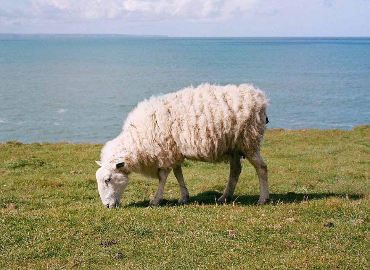 tumblr_6b960ec541f0a96f4de77215e01fd88f_8d0552be_1280.jpg