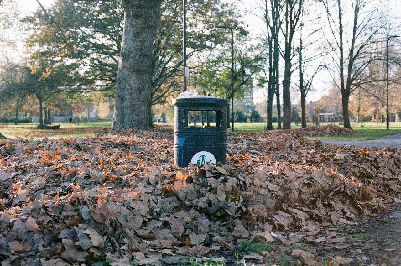 tumblr_a8996abd2b396538d61f3826fe682c29_e54e0e4b_1280.jpg