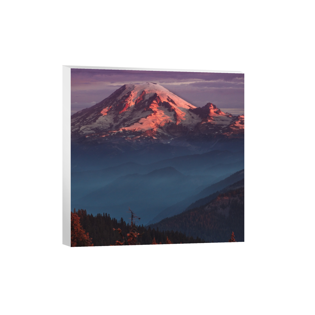 ptq_7_0_0_477_4339_4339_0_false_ffffff_0_0_.png