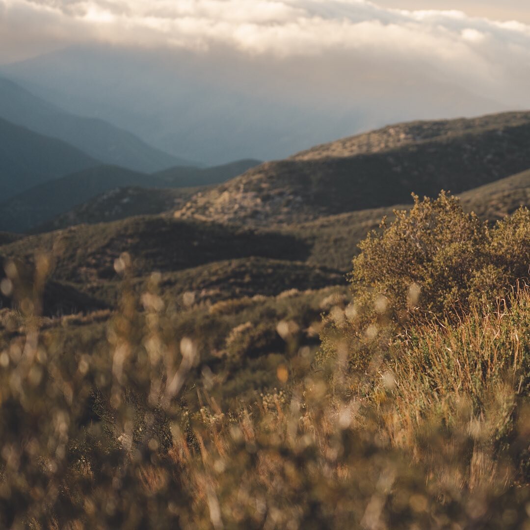 The post PCT photo sorting continues and I&rsquo;ve barley made it through the desert. 

I&rsquo;ll never get over the diversity of the landscape throughout the first 700 miles of trail. Epic views, plants and animals fighting to survive and even ele