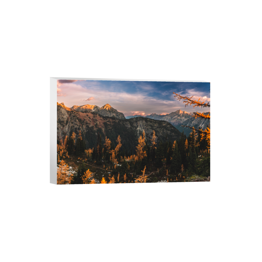 ptq_7_3_5514_0_9025_6017_0_false_ffffff_0_0_.png