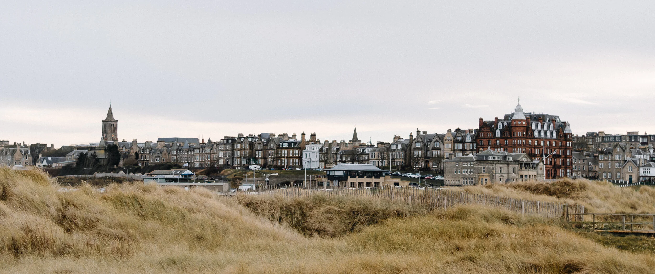dsc_0667.jpeg