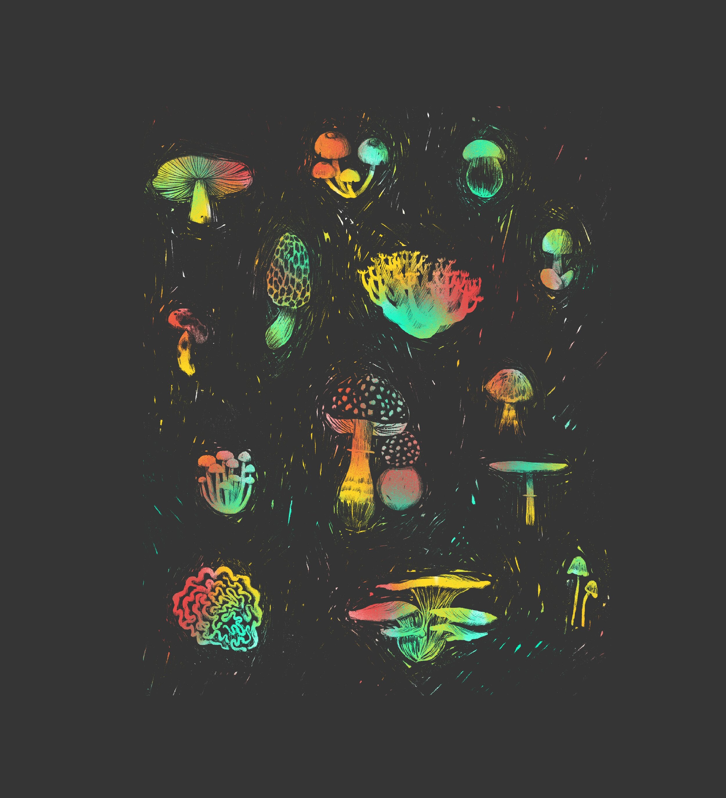 0961E5BD-C710-48C5-944A-93ABDF91DBA6.jpeg