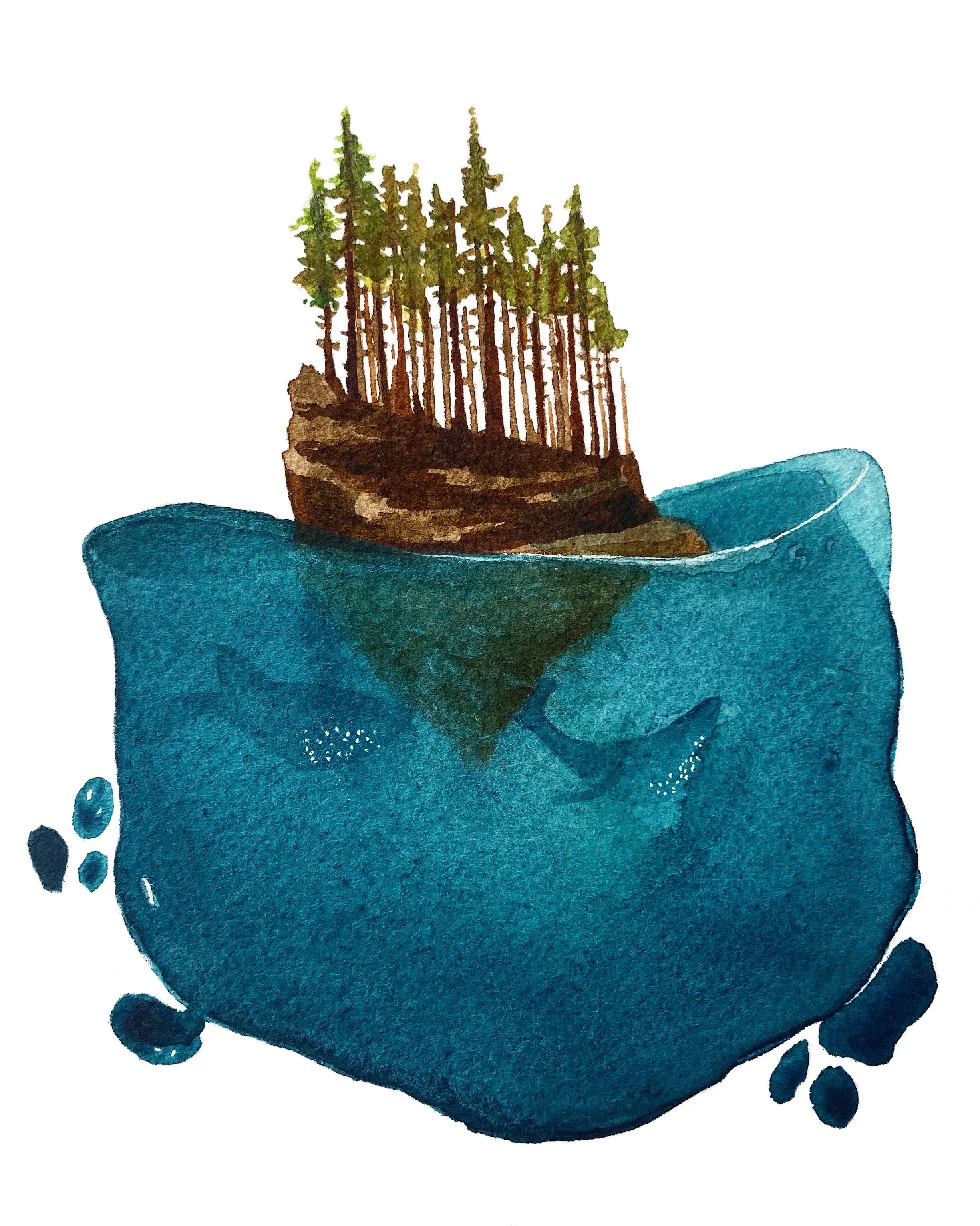 Whale Island Fine Art Print