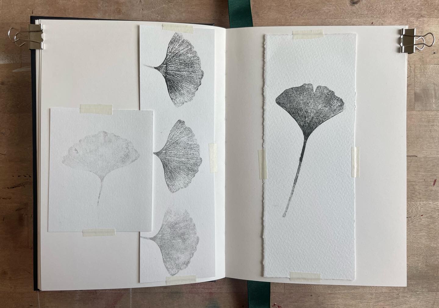 Pages from my sketchbook...

More ginkgo leaf test prints.