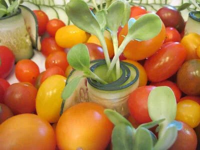 Above and Below: Tomatoes, sunflower sprouts all grown at the Tree of Life garden!
