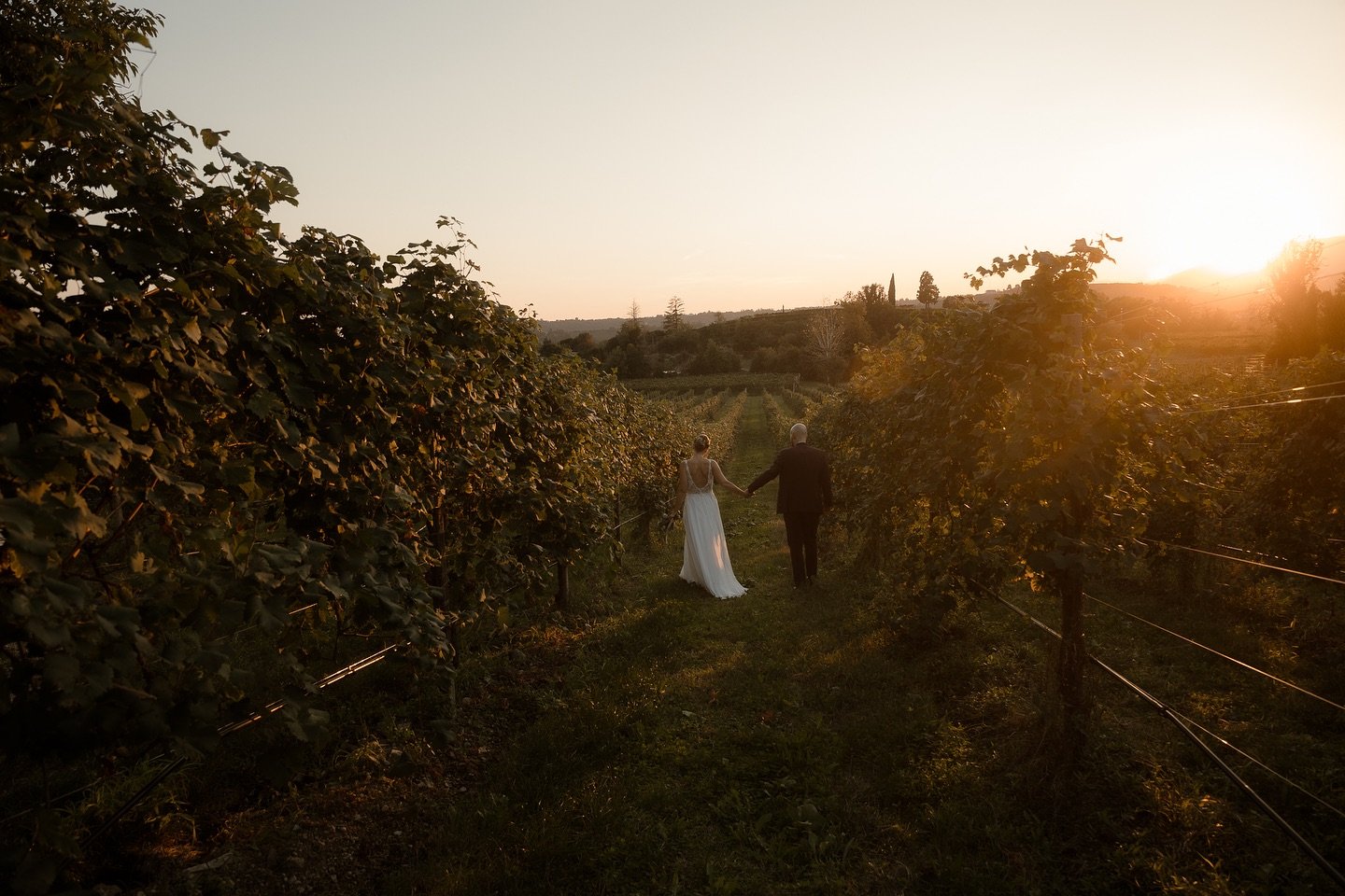 Una giornata riscaldata dal sole e dai sorrisi di Michela e Stefano, due persone solari e innamorate, gentili e coinvolgenti. Hanno festeggiato con gioia sincera nelle meravigliose colline del trevigiano

Foto @davide.ronfini.weddings 
Abito sposa @f