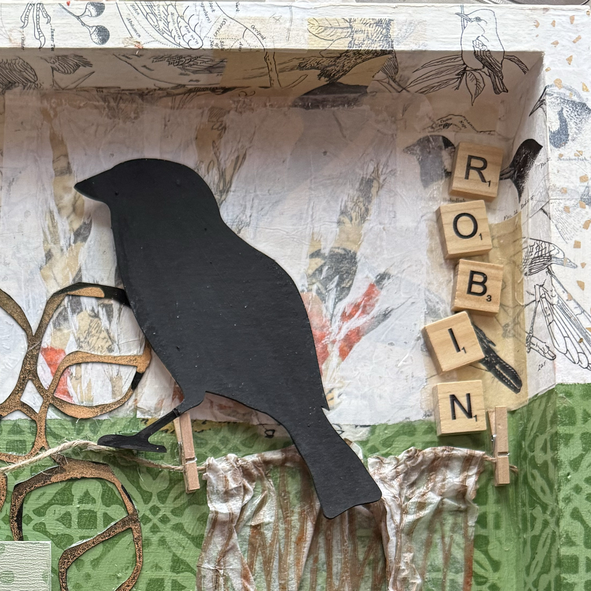 Robin Assemblage3.png