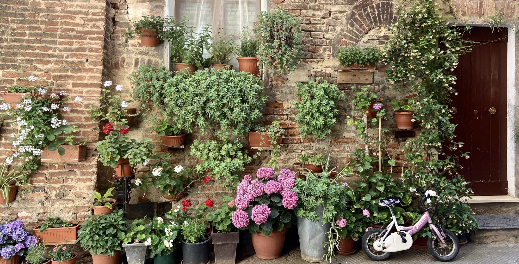 Flower Boxes and Doors.jpg