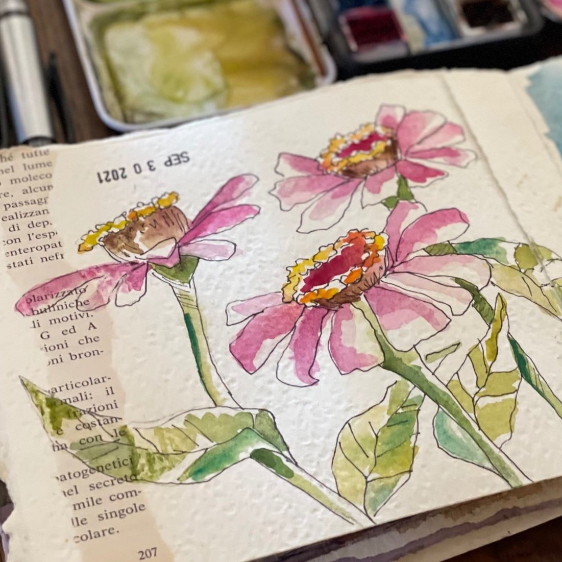 Bella+Botanicals+Sketchbook.jpg