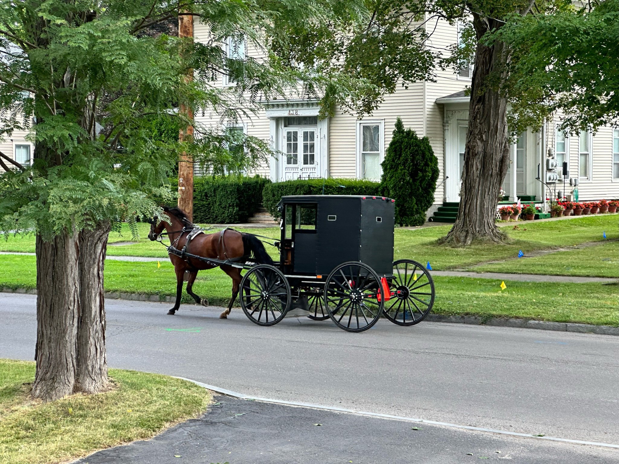 Penn Yan Amish copy.jpg