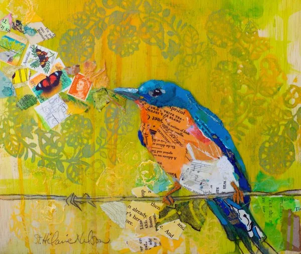 Birds and Butterflies.jpg