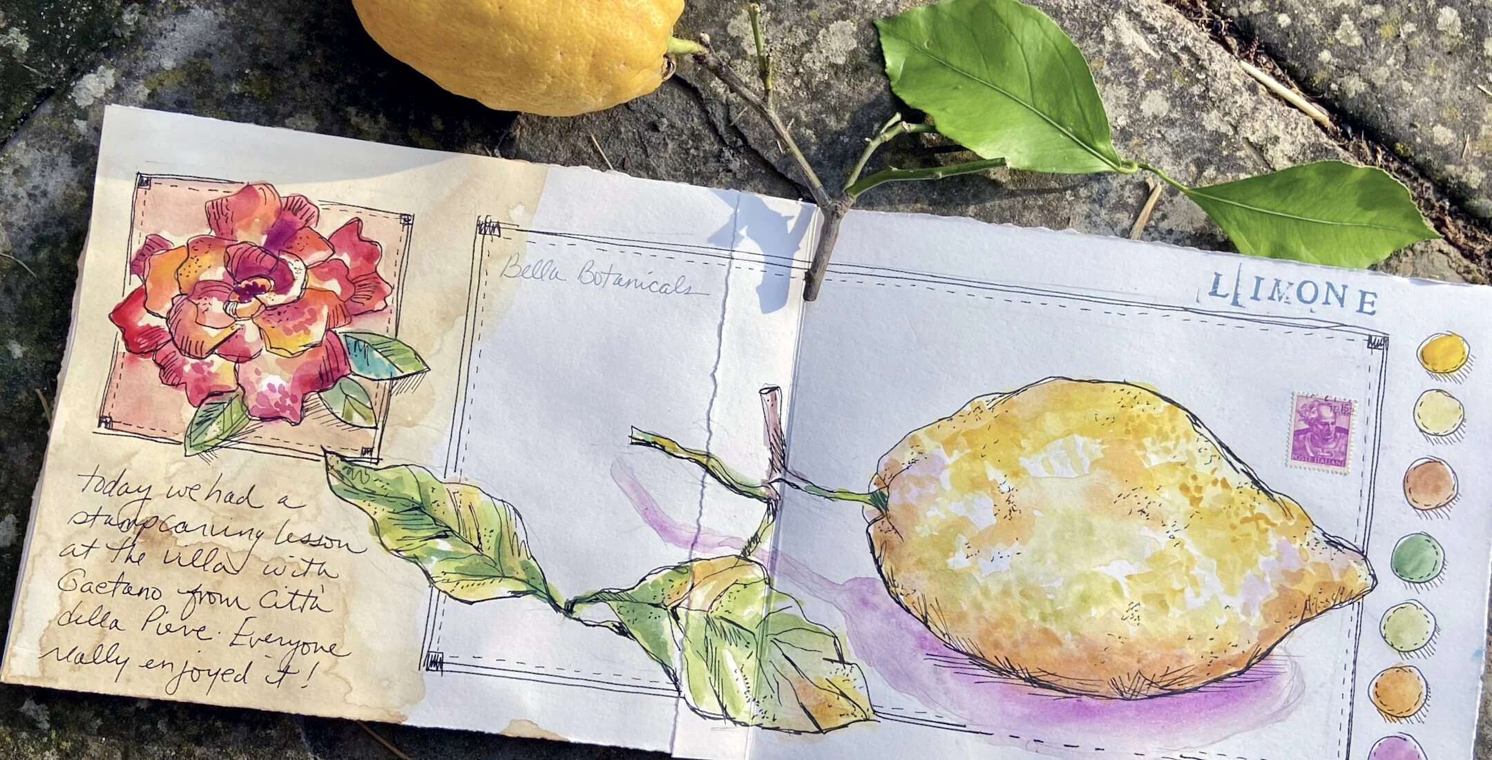 Limoni Watercolor Sketchbook Page.jpeg