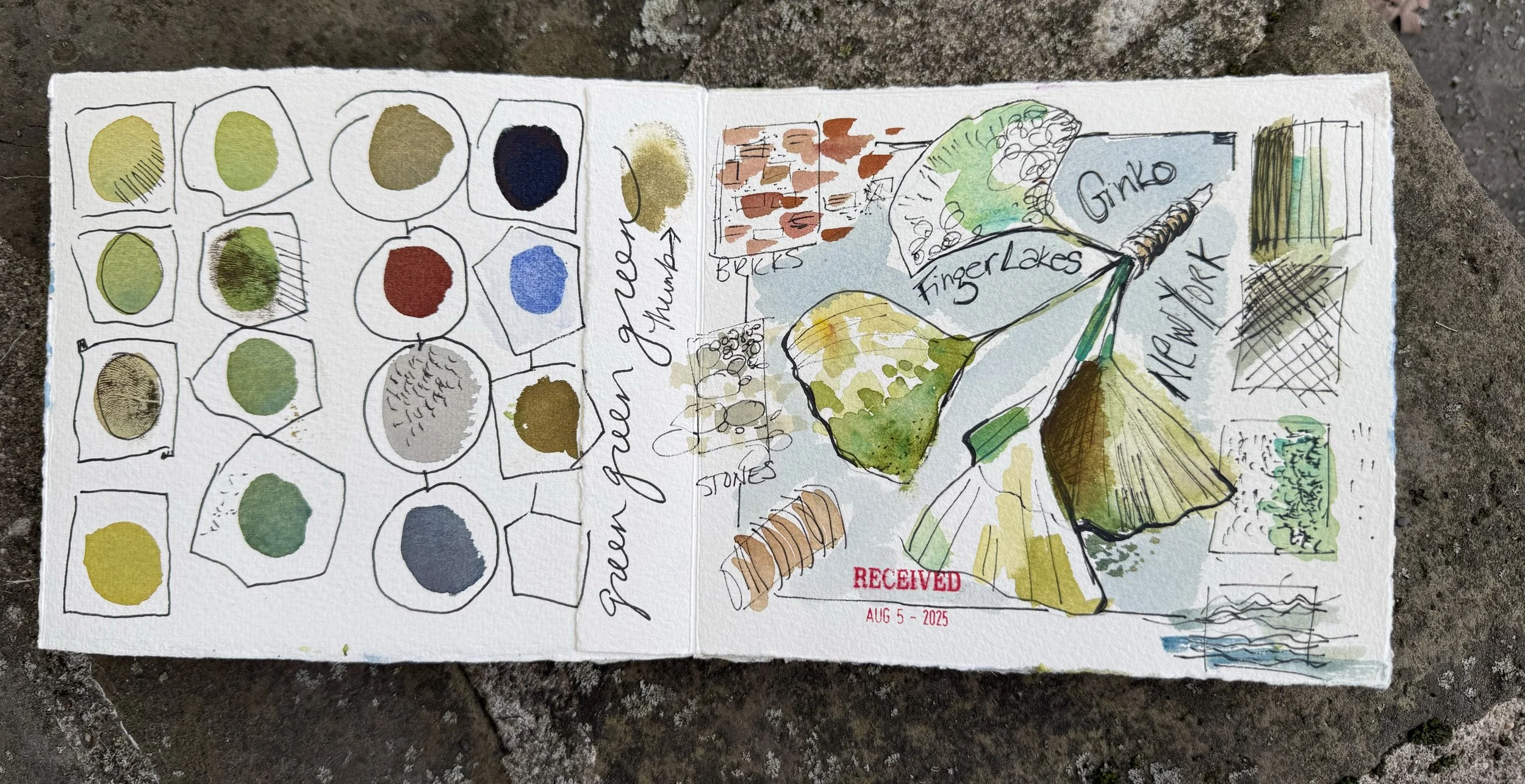 New York Watercolor Ginko.jpg