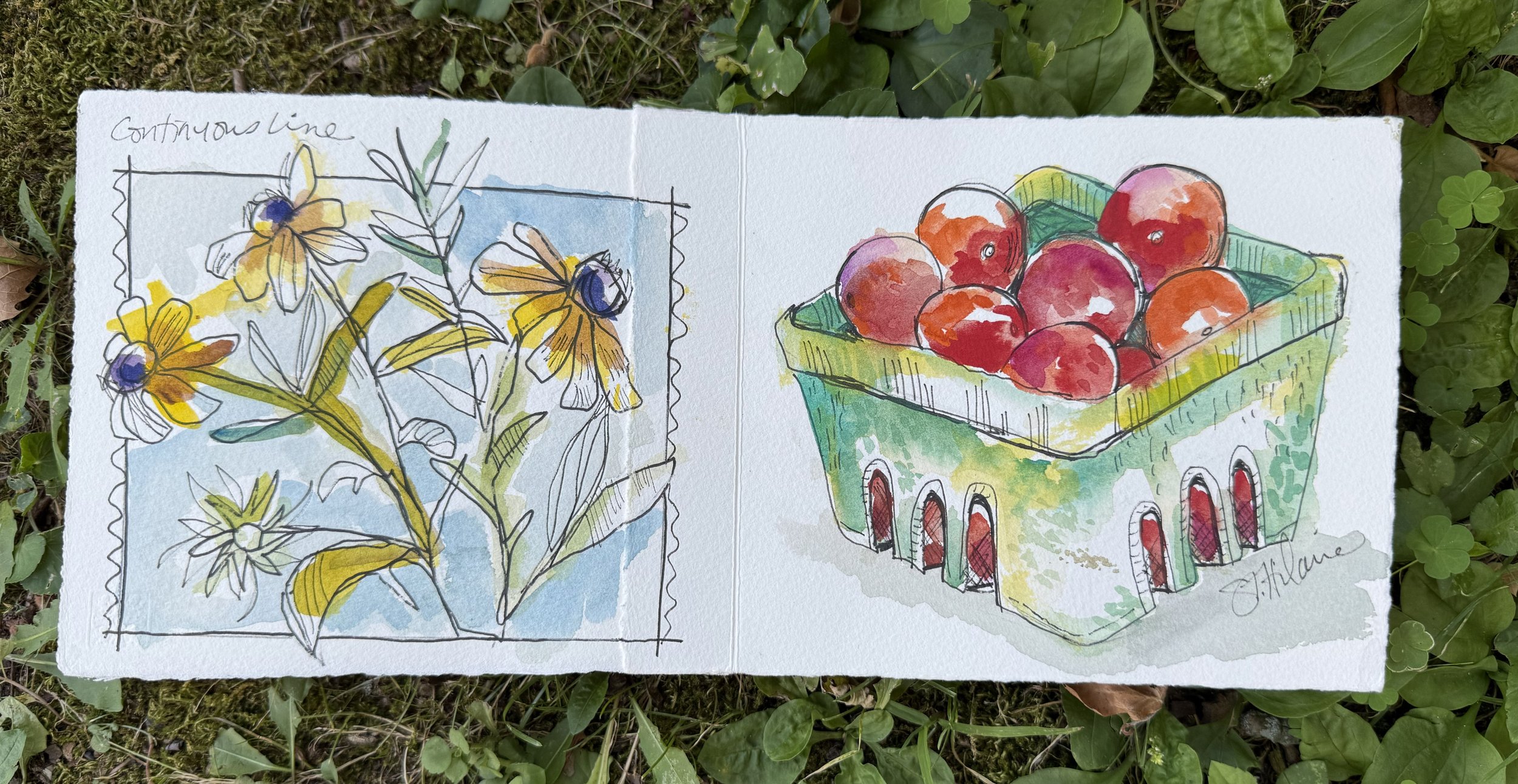 New York Watercolor Produce.jpg