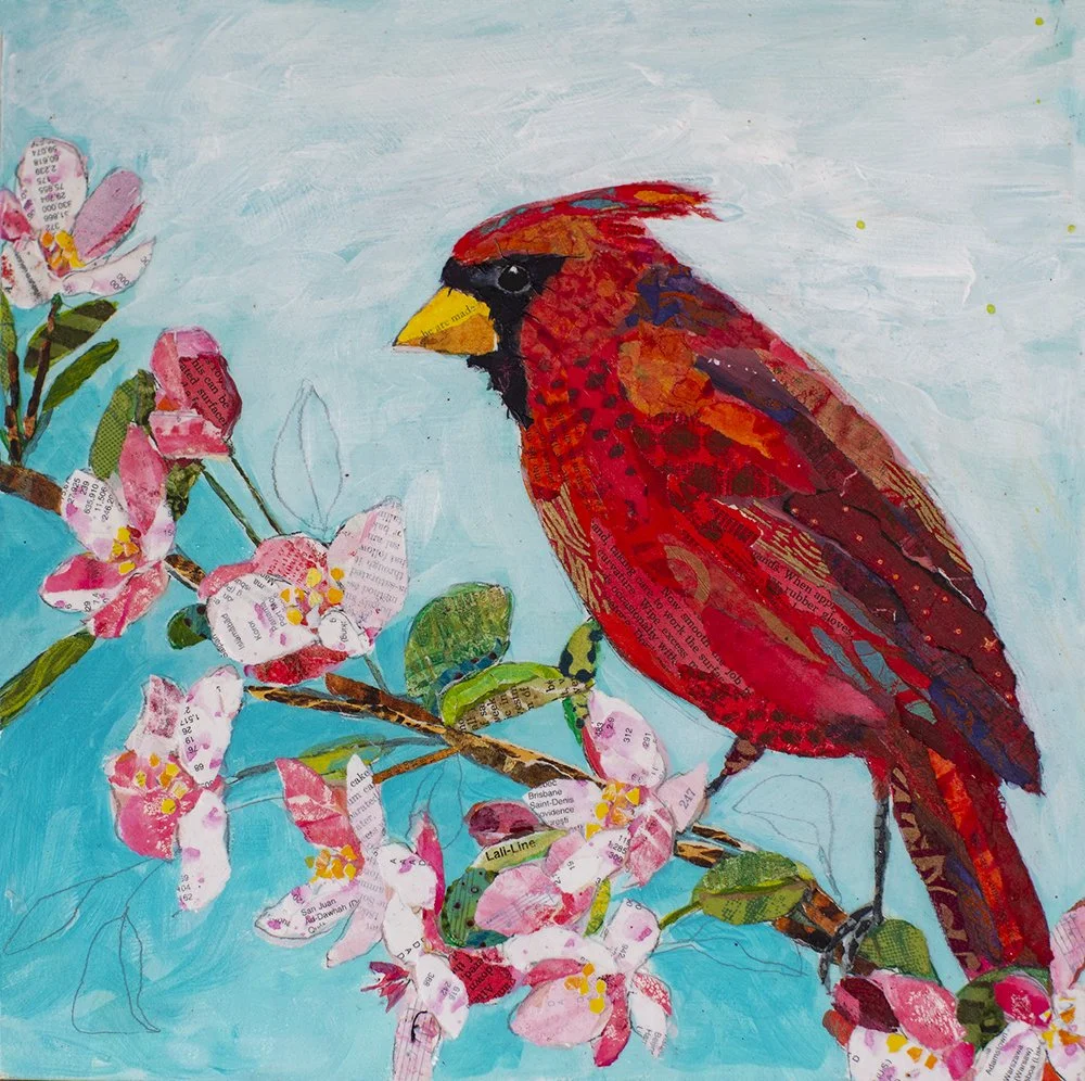 EN-1291 Cardinal with Blossoms 12x12.jpg